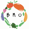 cropped-cropped-logo-bmv.png